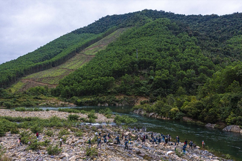 Regenerative Practices